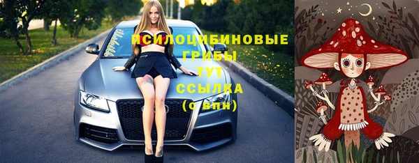 твердый Алзамай